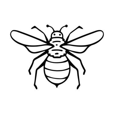Hand-Drawn Insect Doodle Illustration. Insect or Bug Cartoon In Line Style Isolated In White Background. Insect Cartoon for Coloring Book