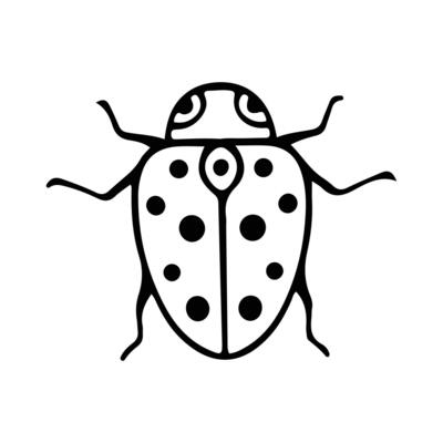 Hand-Drawn Insect Doodle Illustration. Insect or Bug Cartoon In Line Style Isolated In White Background. Insect Cartoon for Coloring Book