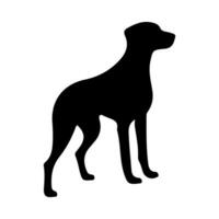 Dog silhouette illustration on isolated background vector