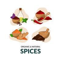 Set with spices. Hand drawn illustration on dark background. Use to create menus, packaging, prints. vector