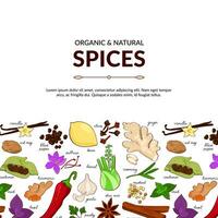 Hand drawn illustration of different spices on dark background. Use to create menus, packaging, prints. vector