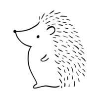 Cartoon doodle cute hedgehog - isolated vector illustration. Hand-drawn adorable hedgehog on his back. Spiny mammal. Forest animals. Vector illustration for children.