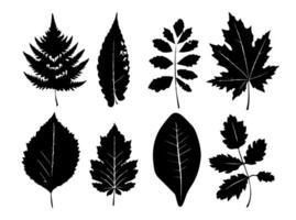 Set of black silhouettes of leaves and flowers. Vector illustration.