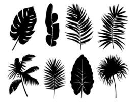 Set of black silhouettes of leaves and flowers. Vector illustration.