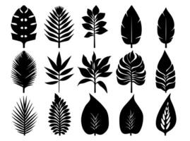 Set of black silhouettes of leaves and flowers. Vector illustration.