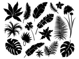 Set of black silhouettes of leaves and flowers. Vector illustration.