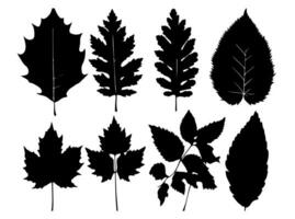 Set of black silhouettes of leaves and flowers. Vector illustration.