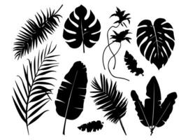 Set of black silhouettes of leaves and flowers. Vector illustration.