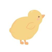Cute chick hand drawn in cartoon and kawaii style. Chicken, farm animal in pastel colors. vector