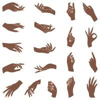 Set of beautiful female hands with different gestures vector