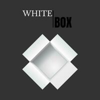 Open box, white cardboard, vector container