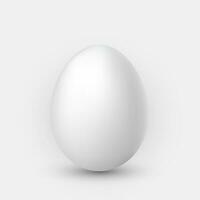 Realistic white egg with shadow on white background vector