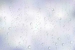 vector agua gotas en vaso. lluvia gotas en transparente antecedentes