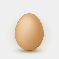 Realistic brown egg with shadow on white background vector