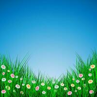 Green Grass with flowers on blue background, Vector Illustration