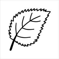 Cute doodle autumn vector linden leaf isolated on white on white background. Hand drawn vector illustration for coloring page and art books for adults and kids. Adult and kids coloring page.