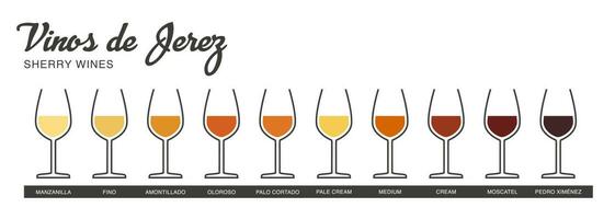 Sherry wine range written in Spanish. Illustrated guide for bars, restaurants, tourist guides, encyclopedias vector