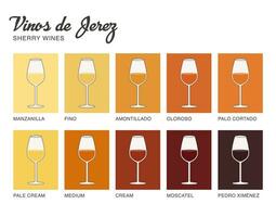 Sherry wine range written in Spanish. Illustrated guide for bars, restaurants, tourist guides, encyclopedias vector