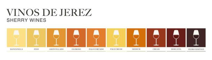 Sherry wine range written in Spanish. Illustrated guide for bars, restaurants, tourist guides, encyclopedias vector