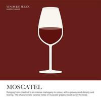 Moscatel spec sheet. Sherry wine. Illustrated guide for bars, restaurants, tourist guides, encyclopedias vector