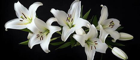 AI generated White lily flowers on black background. AI Generated photo