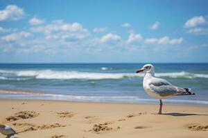 ai generado Gaviota en el playa debajo azul cielo. foto