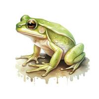 AI generated Watercolor green frog on white background.  AI Generated photo