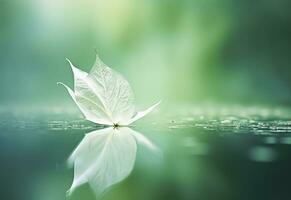 AI generated White transparent leaf on mirror surface with reflection on green background macro. Generative AI photo