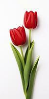 AI generated Red tulips isolated on white background. AI Generated photo