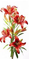 AI generated Red Lilies isolated on white background. AI Generated photo