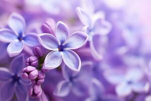 AI generated Lilac blossom macro background with copy space. AI Generated photo