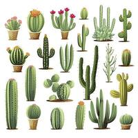 ai generado el cactus conjunto en blanco antecedentes. clipart ilustraciones. ai generado foto