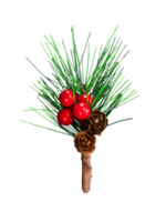 christmas pine Leaf element isolated png