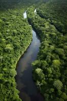 AI generated Aerial view of the Amazonas jungle landscape with river bend. Generative AI photo
