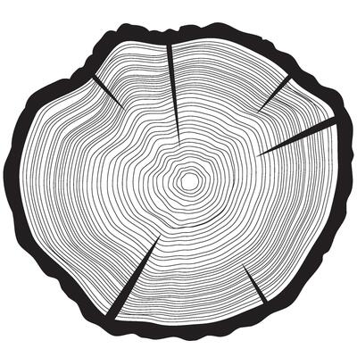 Tree rings background. Annual tree