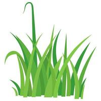 Fragment of a green grass. vector