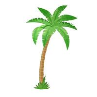 A palm tree vector