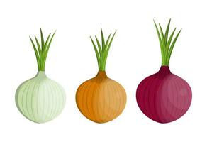 set Fresh Vegetable Onion isolated icon vector