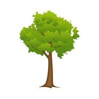 resumen árbol en plano estilo vector