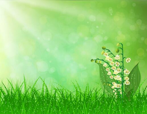 Spring landscape. flowers lily of the valley