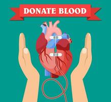 Hand of donor with heart. vector