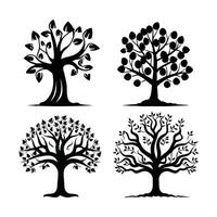 silhouette tree line drawing set, Side view, set of graphics trees elements outline symbol for architecture and landscape design drawing. Vector illustration in stroke fill in white. Tropical