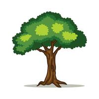 silueta árbol línea dibujo colocar, lado vista, conjunto de gráficos arboles elementos contorno símbolo para arquitectura y paisaje diseño dibujo. vector ilustración en carrera llenar en blanco. tropical