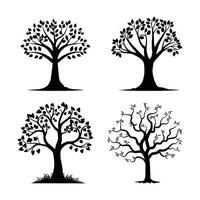 silhouette tree line drawing set, Side view, set of graphics trees elements outline symbol for architecture and landscape design drawing. Vector illustration in stroke fill in white. Tropical