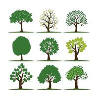 silueta árbol línea dibujo colocar, lado vista, conjunto de gráficos arboles elementos contorno símbolo para arquitectura y paisaje diseño dibujo. vector ilustración en carrera llenar en blanco. tropical