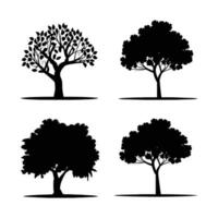 silhouette tree line drawing set, Side view, set of graphics trees elements outline symbol for architecture and landscape design drawing. Vector illustration in stroke fill in white. Tropical