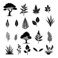 silhouette tree line drawing set, Side view, set of graphics trees elements outline symbol for architecture and landscape design drawing. Vector illustration in stroke fill in white. Tropical