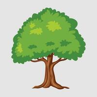 silueta árbol línea dibujo colocar, lado vista, conjunto de gráficos arboles elementos contorno símbolo para arquitectura y paisaje diseño dibujo. vector ilustración en carrera llenar en blanco. tropical