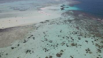 antenne visie van menjangan kecil eiland in karimunjawa, jepara, Indonesië. koraal riffen, wit zand stranden. top toerist bestemming, het beste duiken snorkelen. video