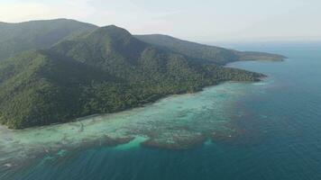 Antenne Aussicht von tropisch Wald im karimunjawa Insel, Indonesien, über Bäume und Natur Wald oben Nieder Aussicht video